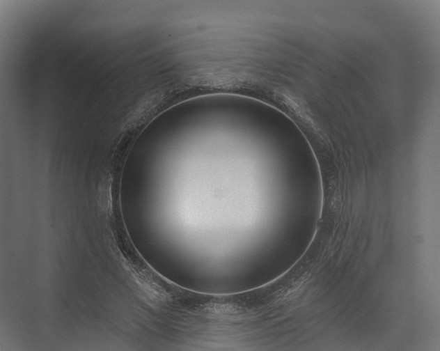 X0000074260685200609011343