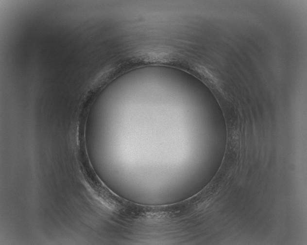 X0000074260686200609011343