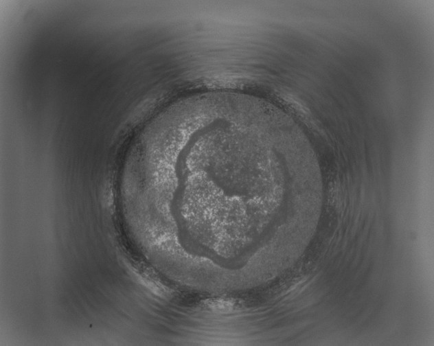 X0000074260687200609011343