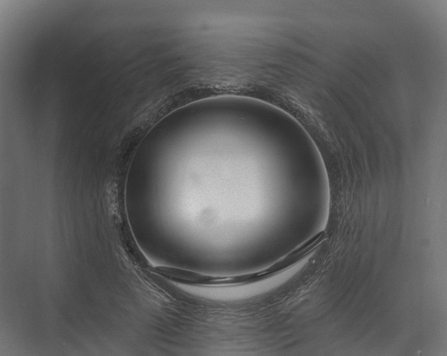 X0000074260689200609011343