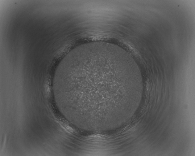 X0000074260691200609011343