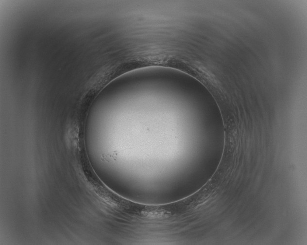 X0000074260693200609011343