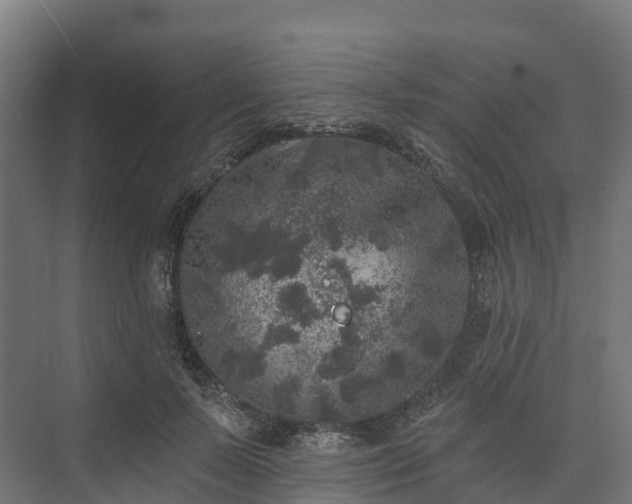 X0000074260695200609011343