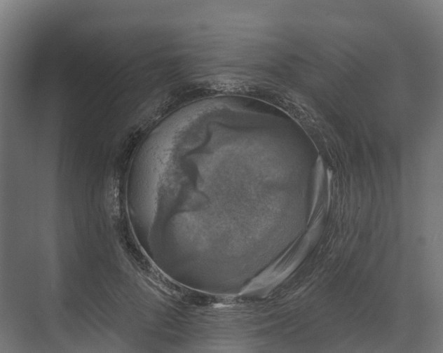 X0000074260696200609011343