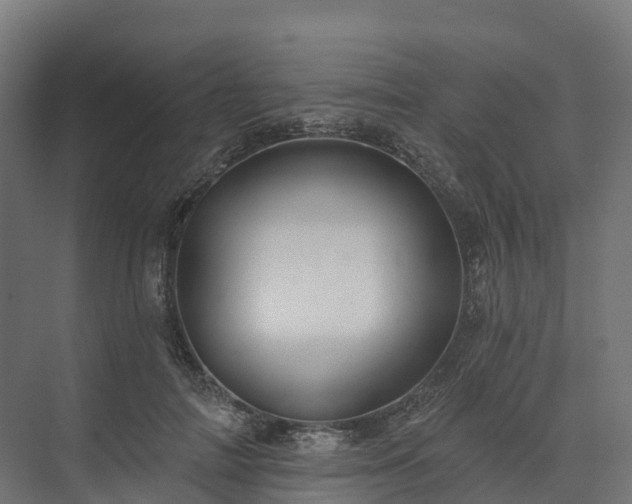 X0000074260698200609011343