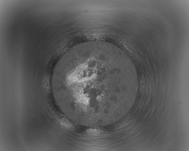 X0000074260699200609011343