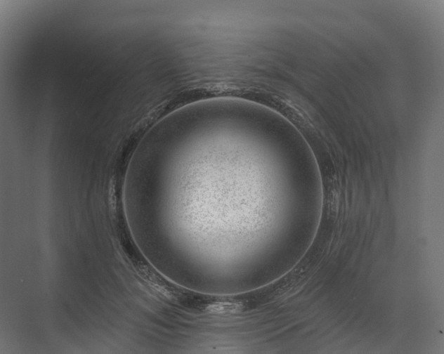 X0000074260700200609011343