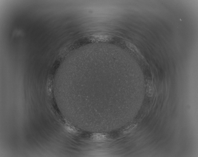 X0000074260701200609011343