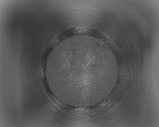 X0000074260703200609011343