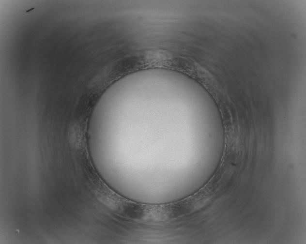 X0000074260705200609011343