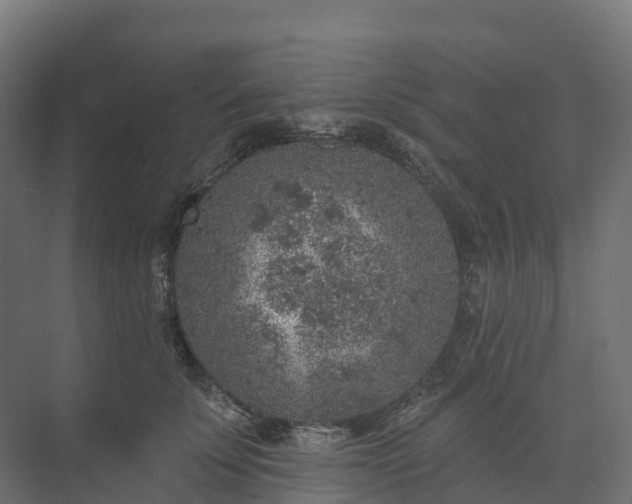 X0000074260707200609011343