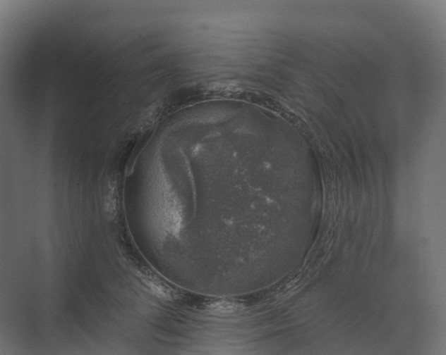 X0000074260708200609011343