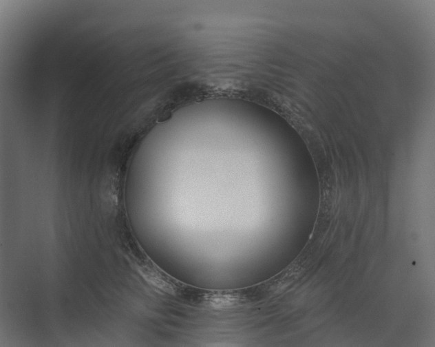 X0000074260710200609011343