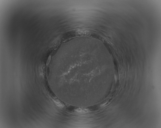 X0000074260712200609011343