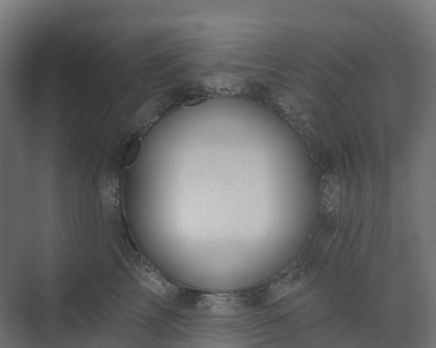 X0000074260713200609011343