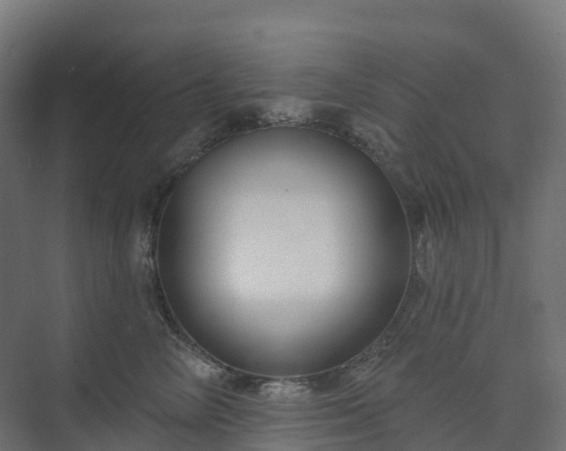 X0000074260714200609011343