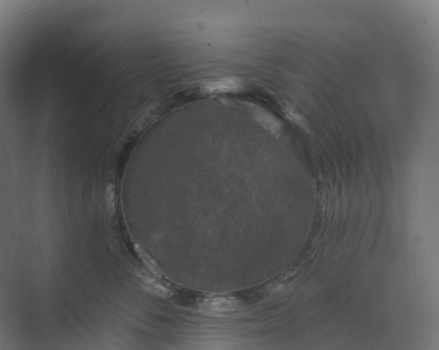 X0000074260716200609011343