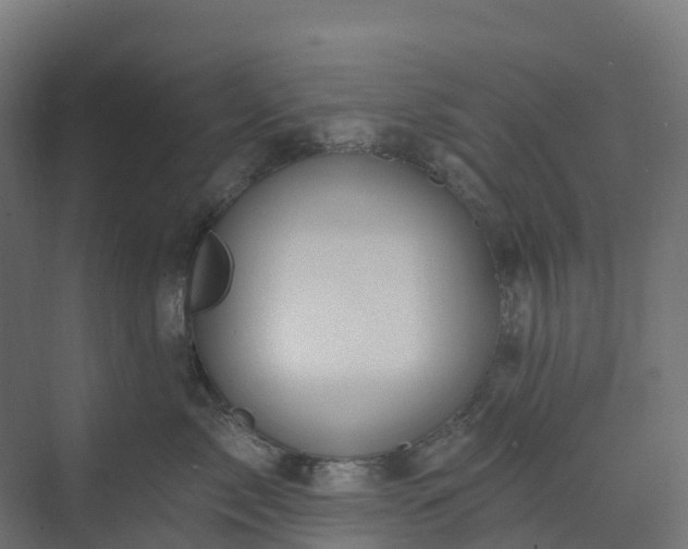 X0000074260717200609011343