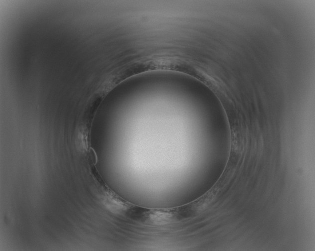 X0000074260718200609011343