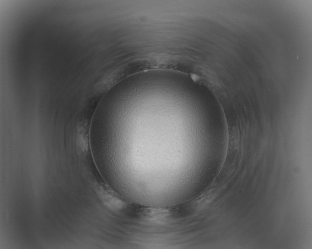 X0000074260719200609011343