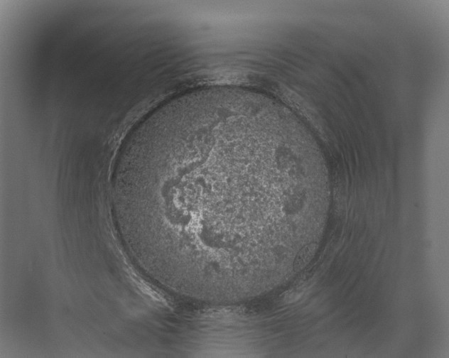 X0000074260721200609011342