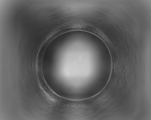 X0000074260722200609011342