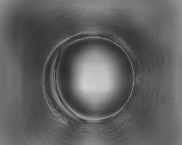 X0000074260724200609011342