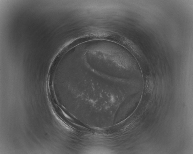 X0000074260726200609011342