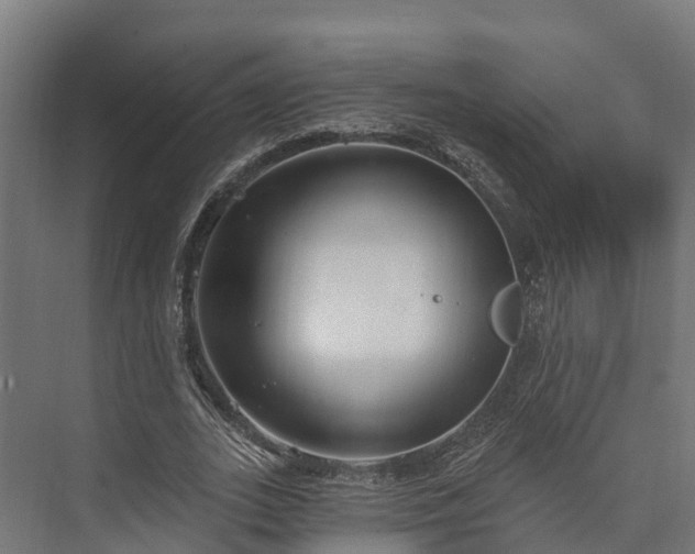 X0000074260727200609011342