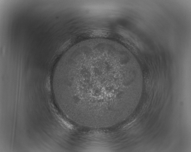 X0000074260729200609011342