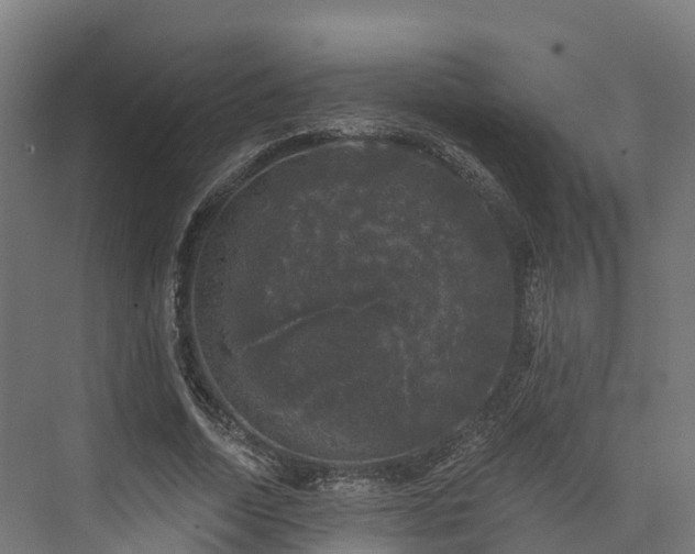 X0000074260730200609011342