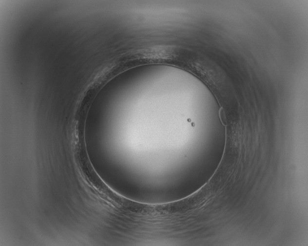 X0000074260731200609011342