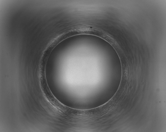 X0000074260732200609011342