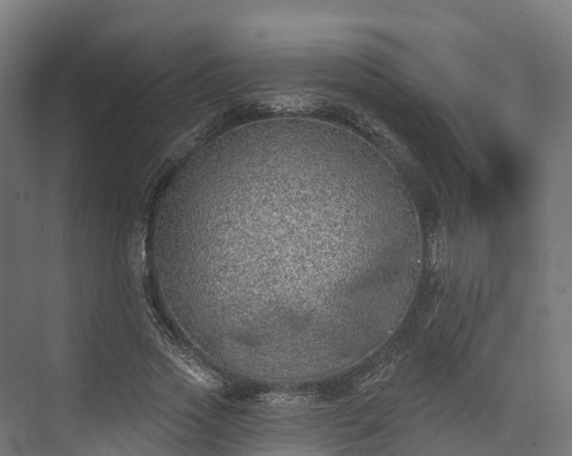 X0000074260733200609011342