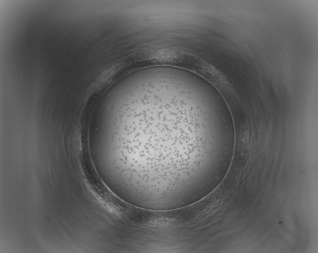 X0000074260734200609011342