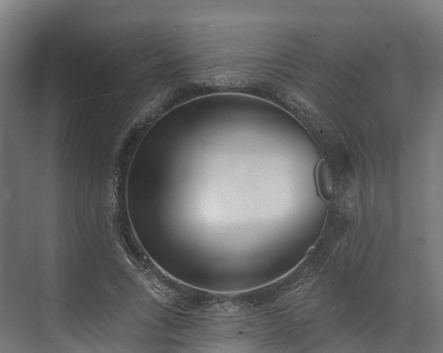 X0000074260735200609011342