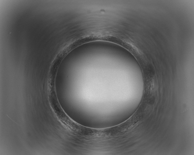 X0000074260736200609011342