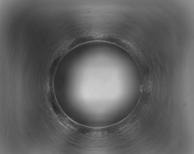 X0000074260740200609011342