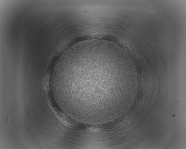 X0000074260742200609011342