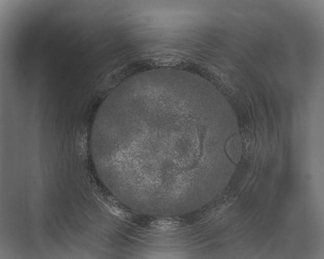 X0000074260745200609011342