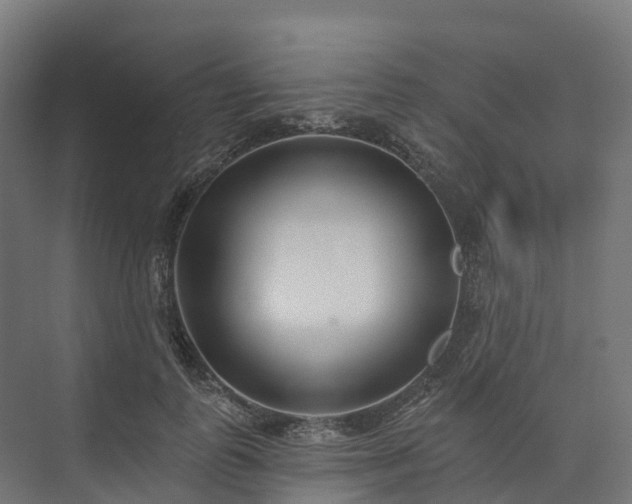 X0000074260747200609011342