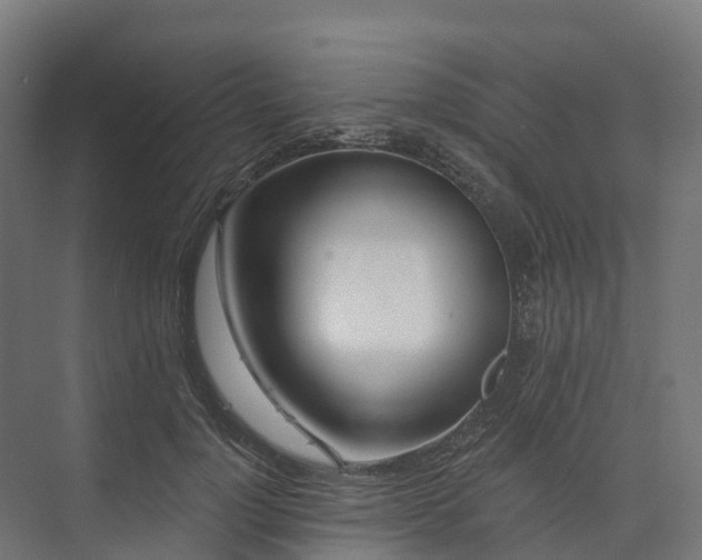 X0000074260748200609011342