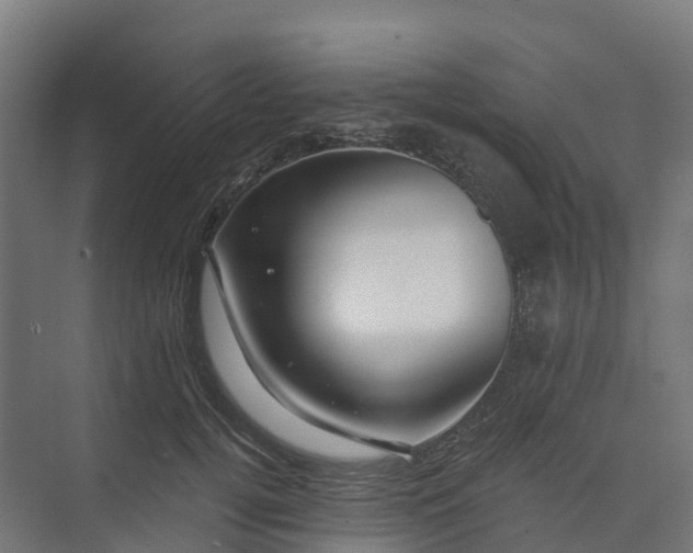 X0000074260752200609011342