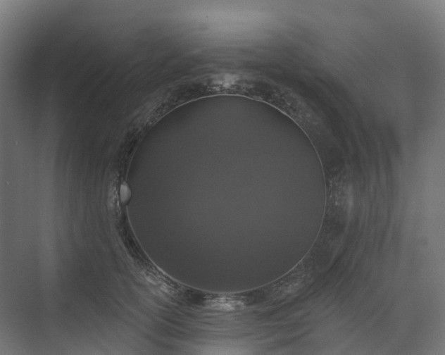 X0000074260754200609011342