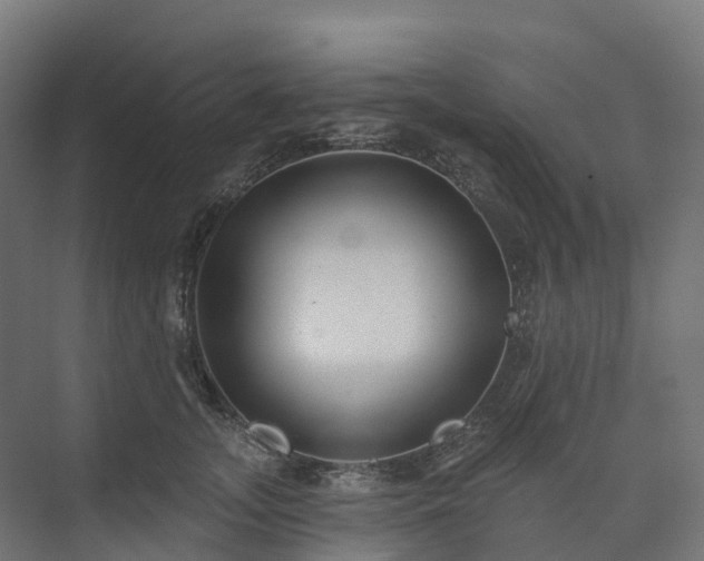 X0000074260755200609011342