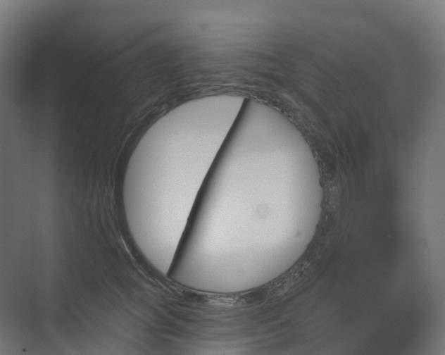 X0000074260757200609011342