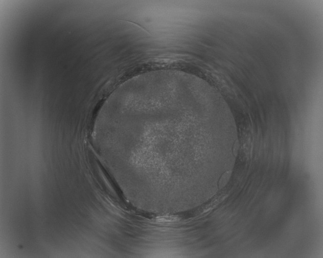 X0000074260758200609011342