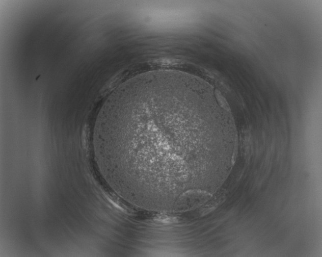 X0000074260760200609011342