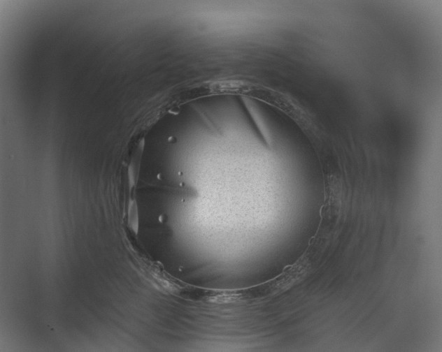 X0000074260761200609011342