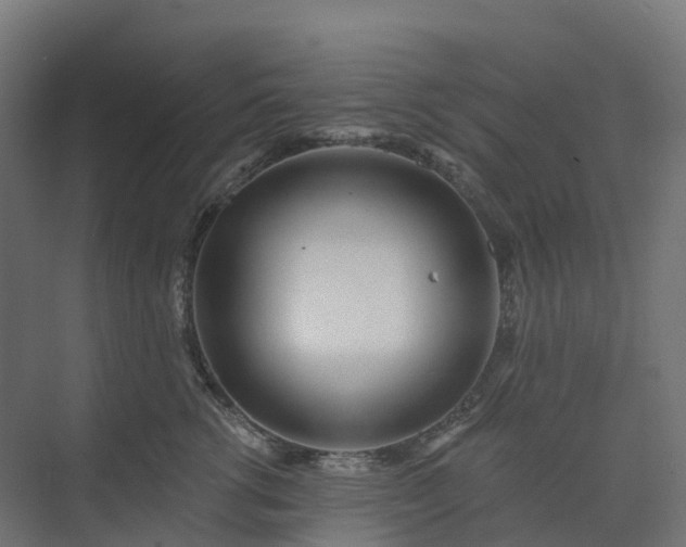 X0000074260762200609011342